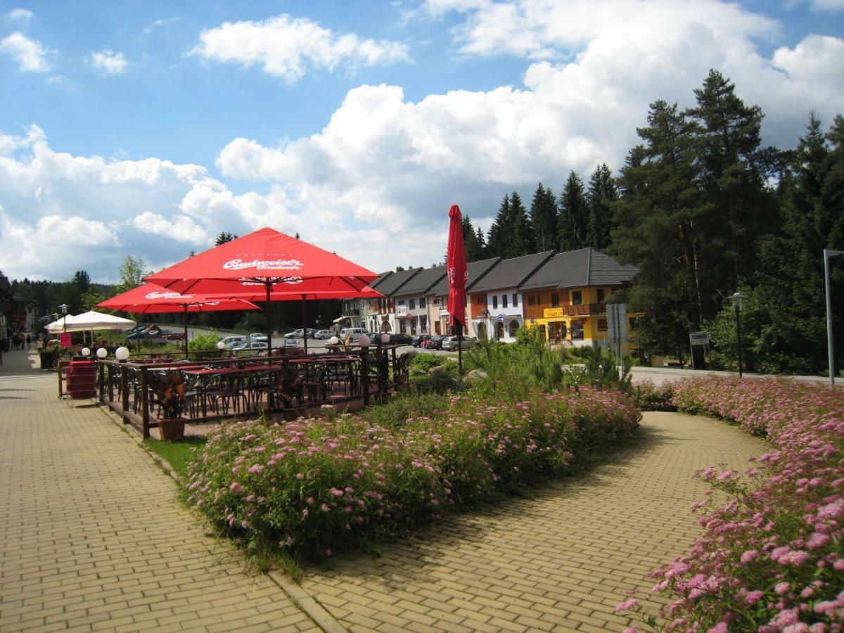 Apartmán Riviera Apartamento Lipno nad Vltavou Exterior foto
